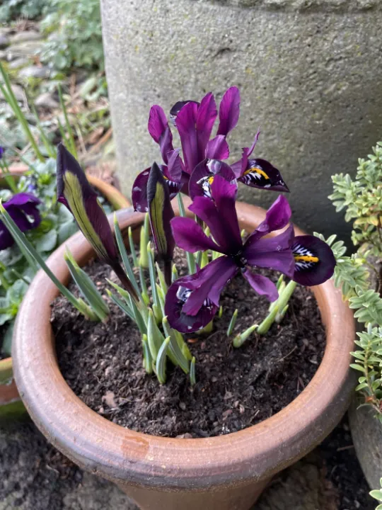 ABAA1039-B571-4FDA-8B70-2A9078EA4FD6