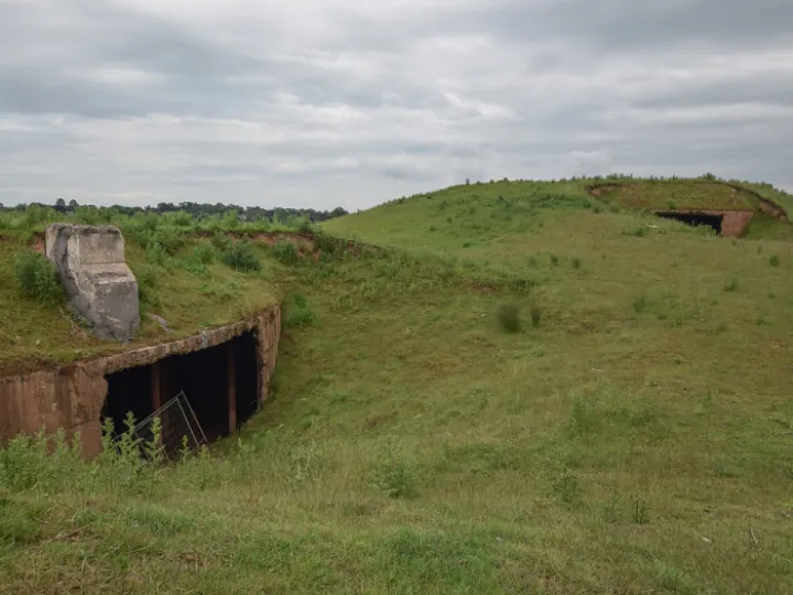 48213973927_e94f15fc2f_b (1)