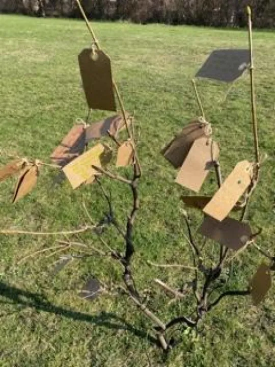 6DB01072-A4F8-46EC-BDF4-0AD8AF27322B