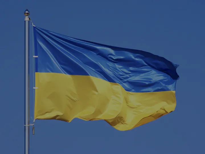 Ukrainian flag