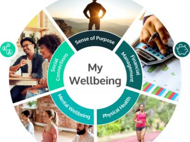 My-Wellbeing-Model-Wheel-Only-410x400-jpg-pagespeed-ic_-89hEaQvRMI