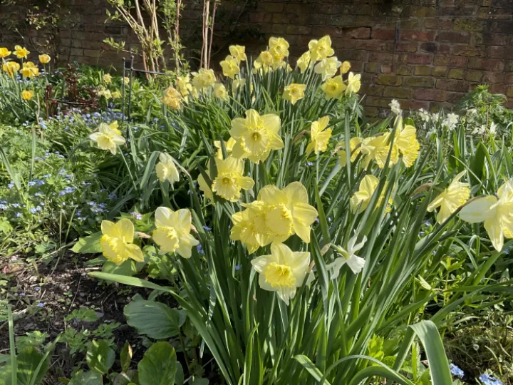 5A4835A5-C557-4067-9B89-0E8E69837CD8