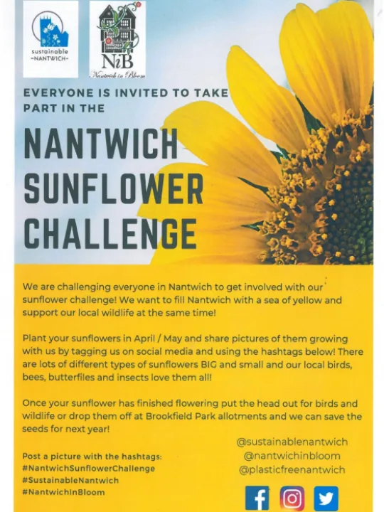 sunflower challenge
