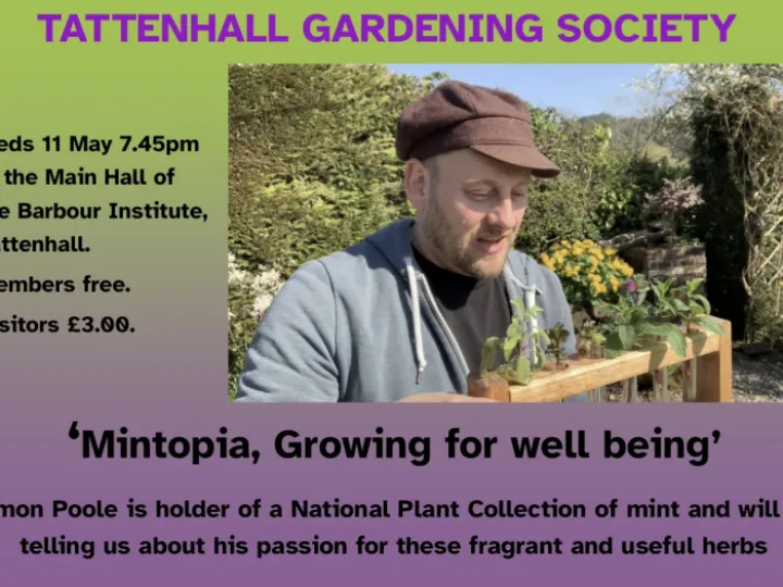 A2F0AE12-6250-4690-8E9A-50E77EEAFEB5