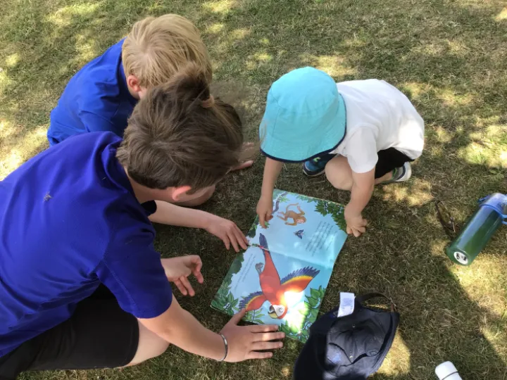 53D5871D-B456-4A96-A527-B6DD27714BAB