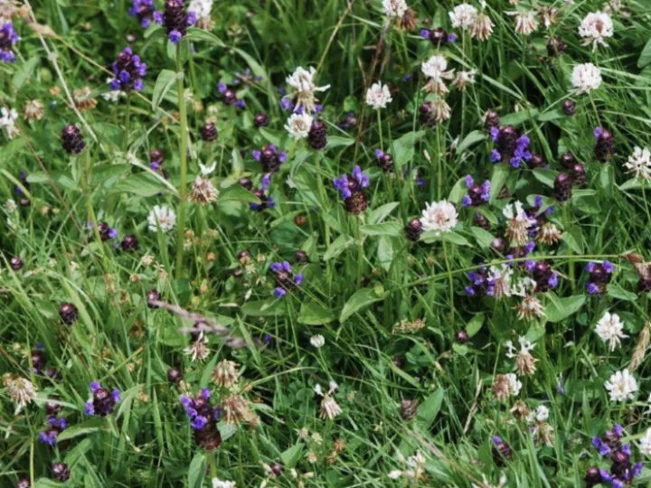 DAB32E37-6972-4583-9C4B-7CB21F6A1C85