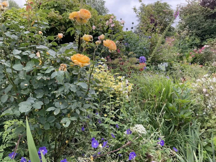 D3BBBECC-1F8B-47BD-A5FC-EFABDB52023C