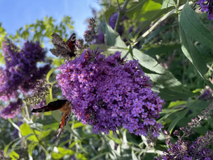 854746FC-A20C-4EA7-91D4-FD1E8F5D368E