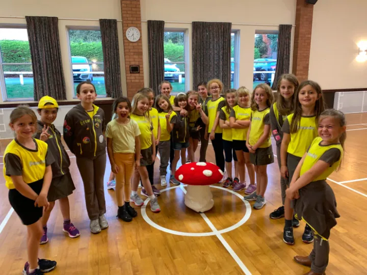 1st Kelsall Brownies