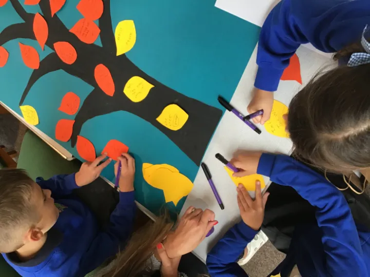 C8AA61F4-5E25-4DFC-9FB0-1D75038505AF