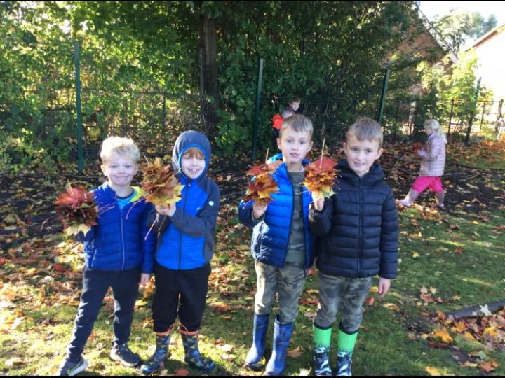 Forest school