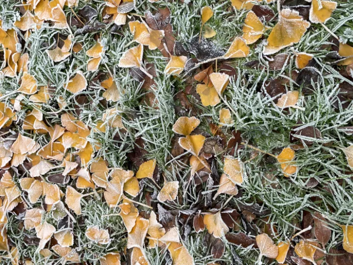 23BF4FAF-0381-413C-B867-1C59DA59A680