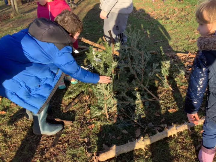 B313D162-2D52-46CB-B243-908226A0027E