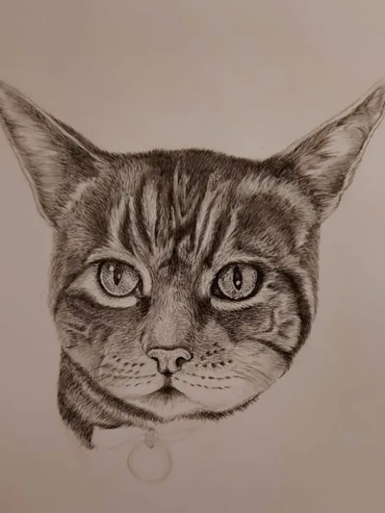 Screenshot_20230118_202536_facebook (2)