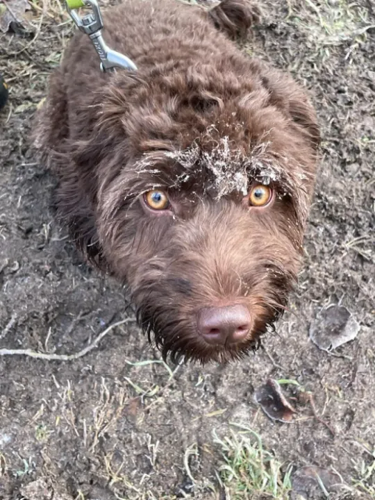 1cba6916-2138-4e53-94c3-c9969b390cd2