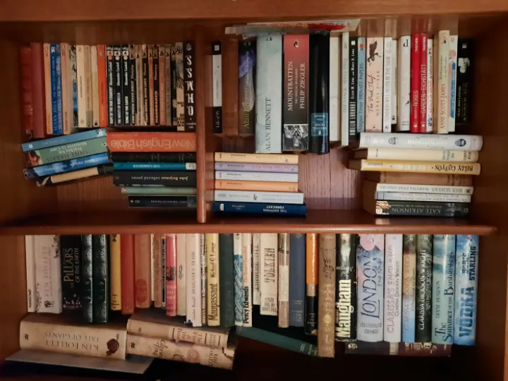 SAWG Bookcase 20230124_163014