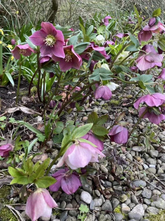 C44A0093-CB3D-43B0-B998-386597A6D254