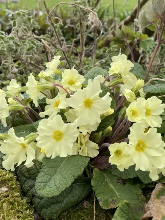 CAF2721A-D569-492F-90AE-B9780CD78C84