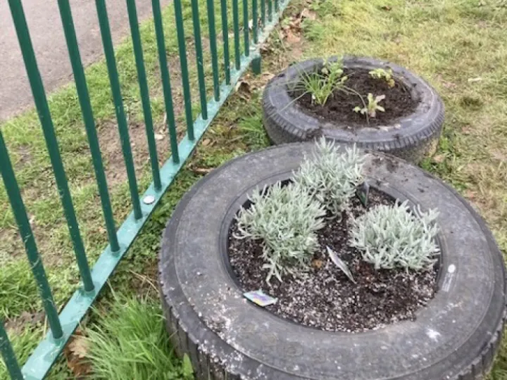 A897B7B3-312A-4087-A8F7-5E4EF338F400