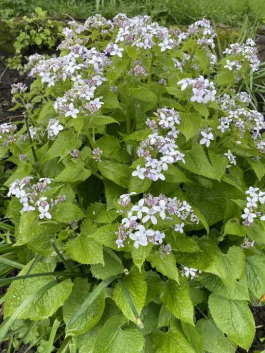 C373D555-2A41-4CCC-B7ED-EF36D9EB133B