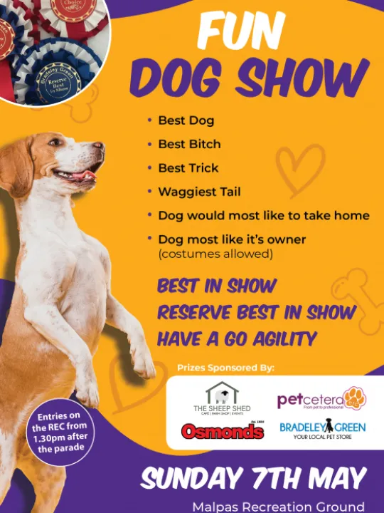 Dog Show