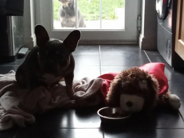 Screenshot 2023-05-06 at 07-53-27