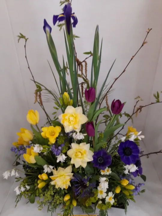 Image: 20230429 105153 001