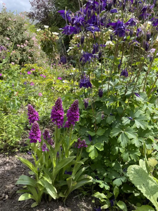 9F2F52BF-7FB7-4A7E-97E1-E0371BF069CA