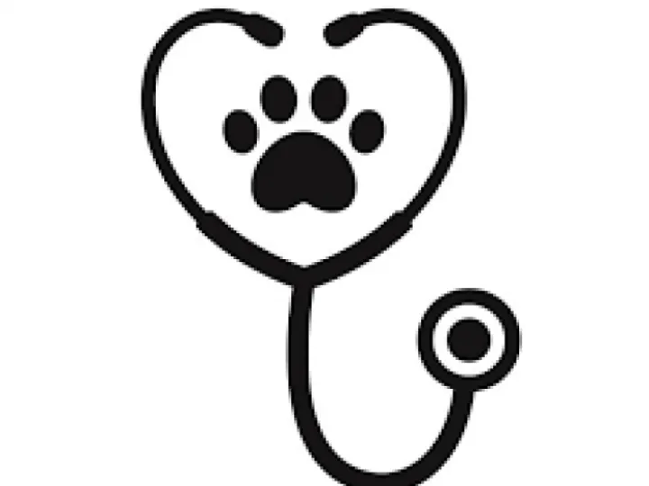 Veterinary