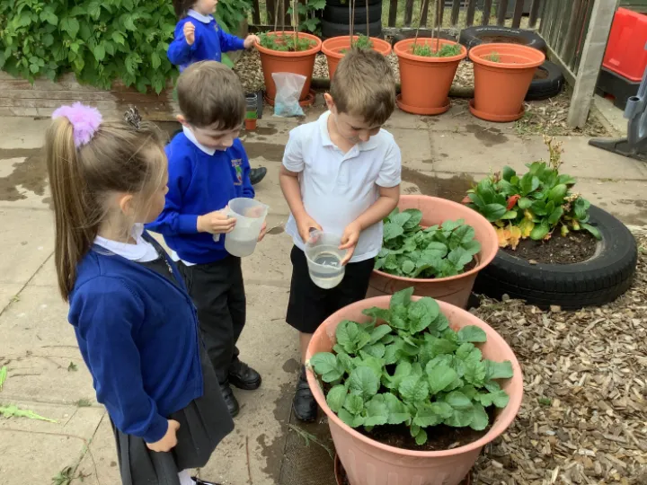 8C45F3EA-593A-4EA4-9388-32CC0F910FFE