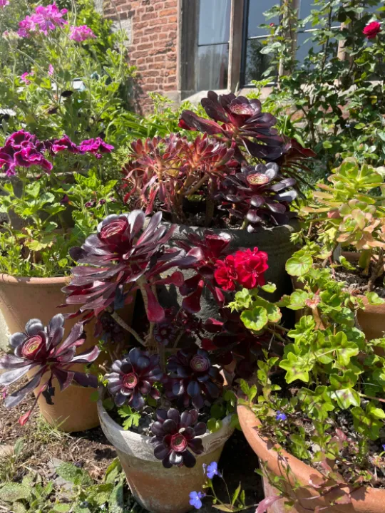 20CD4CCE-9B6B-4784-822E-72A650D0FC8B