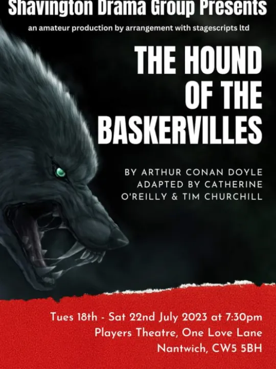 Hound of the Baskervilles