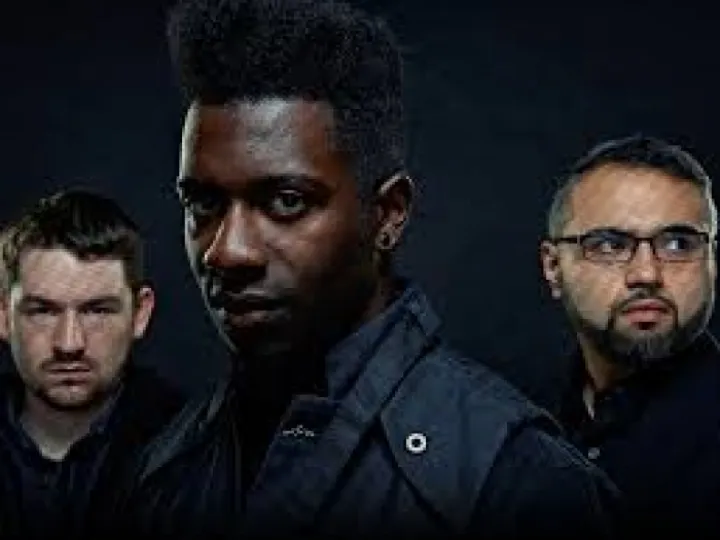 Animals as leaders
