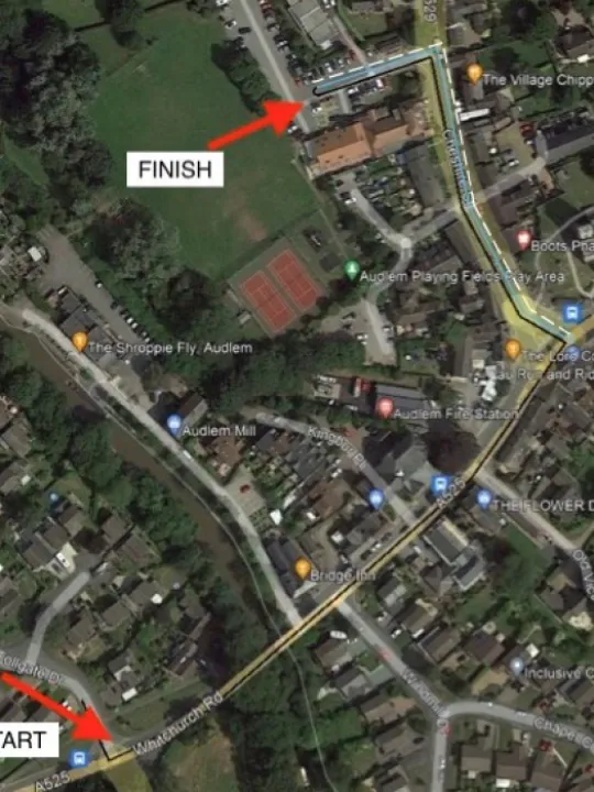 Village Protest March