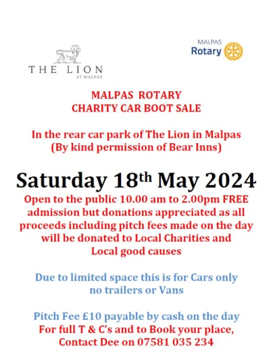 Lion Car Boot Sale