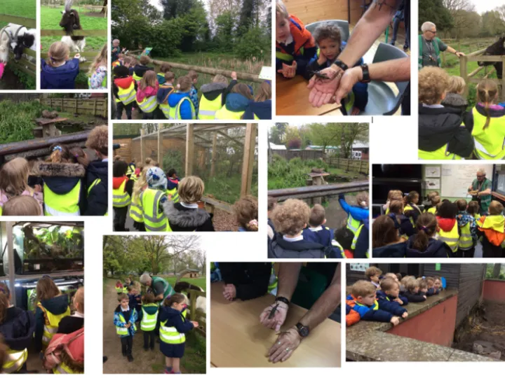 Reaseheath Mini Zoo Photos