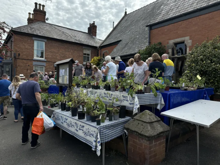 2024 Plant Sale 1
