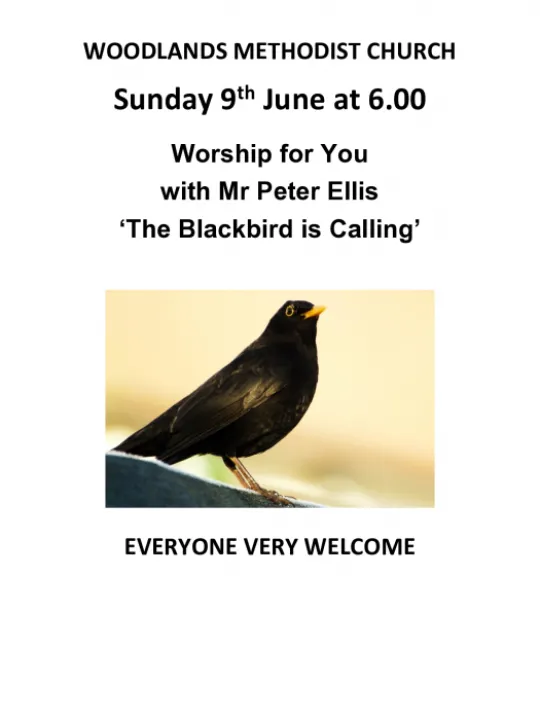 Woodlands Wfy Peter Ellis