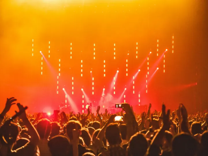 People Enjoying the Concert