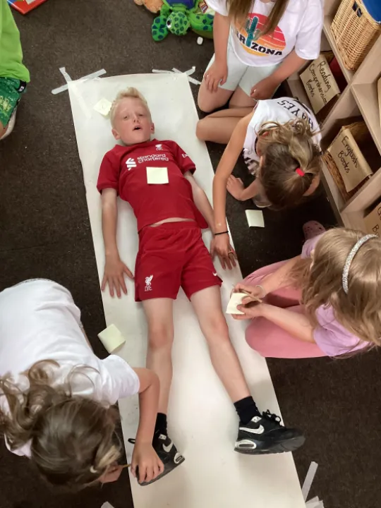 Y3 Science Human body