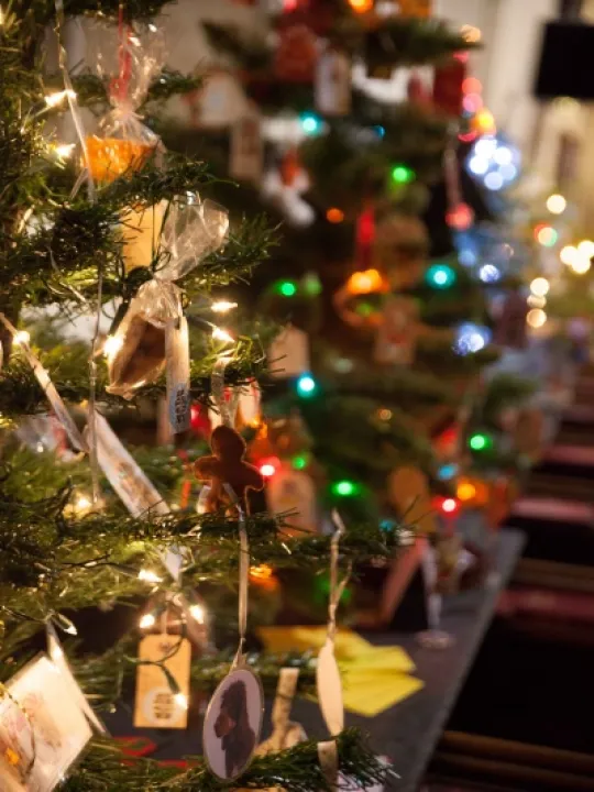 Xmas Tree Festival 03