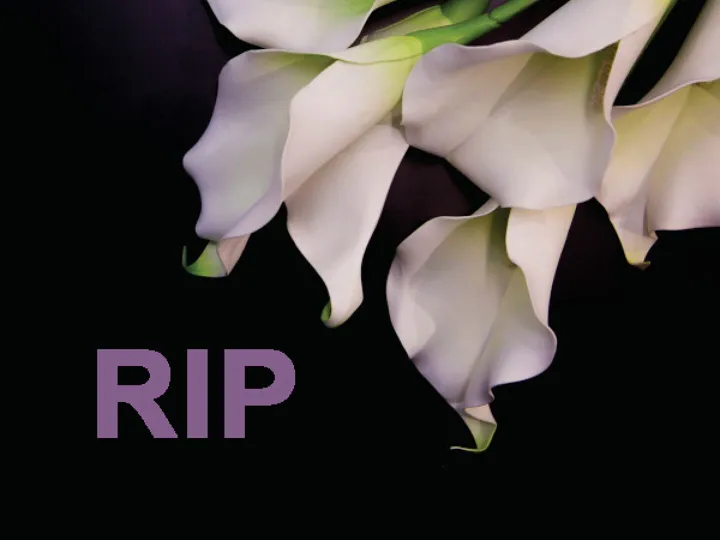 Rip Graphic_square