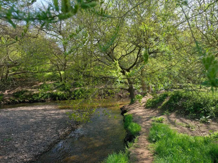 Mersey Forest river Bollin