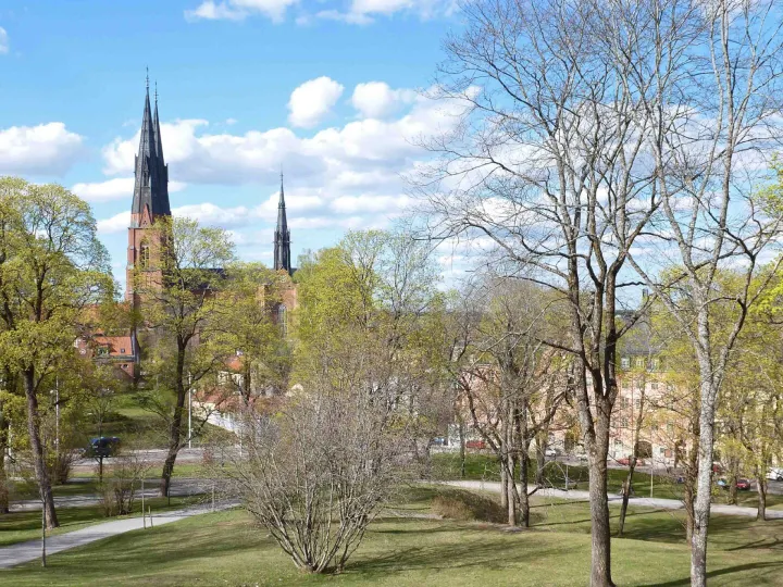 J Nicholls  Arctic Talk 4