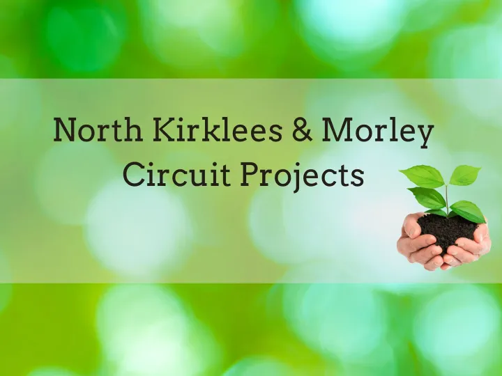 Circuit Projects