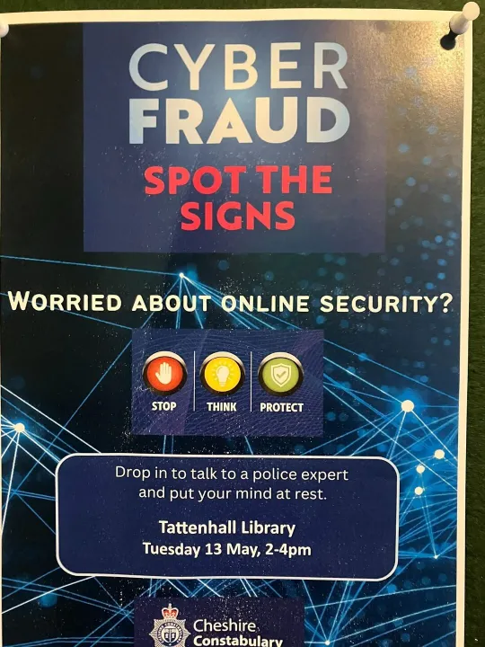 Cyber Fraud