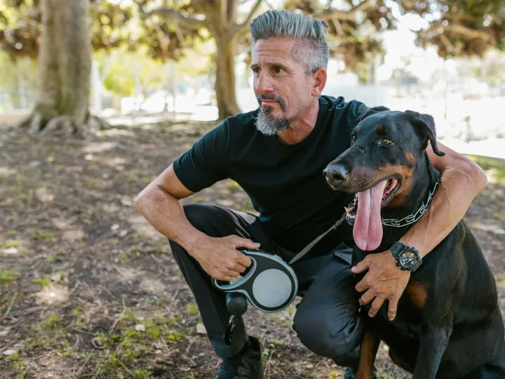 Man crouching with a Doberman in a sunlit park, enjoying a stroll.
