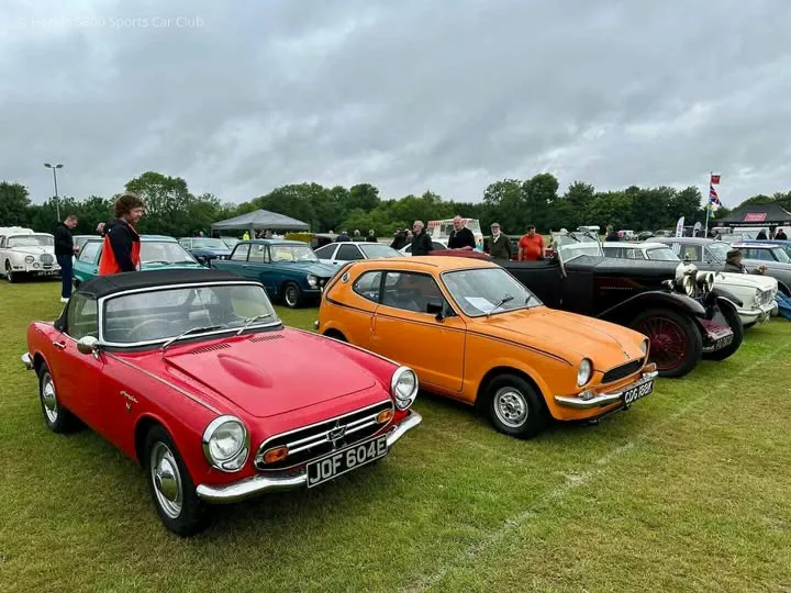 520005686_31466982409566900_52