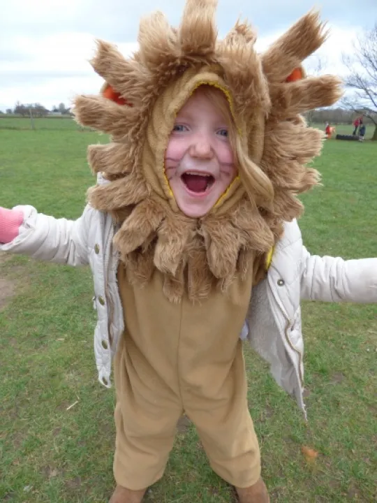 Aoifa lion
