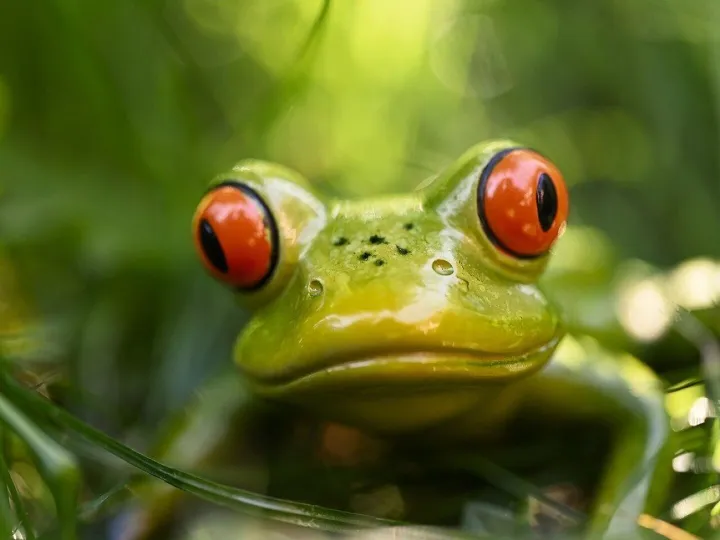 Frog, figure, cute, meadow, green, nature, ceramic